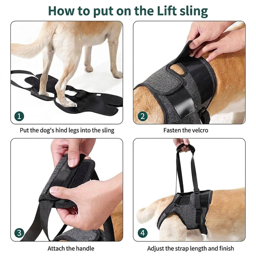 Dog Rear Leg Lift Sling