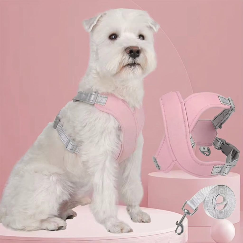 Soft No-Pull Dog Harness - 10