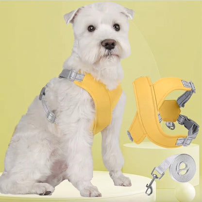 Soft No-Pull Dog Harness - 11