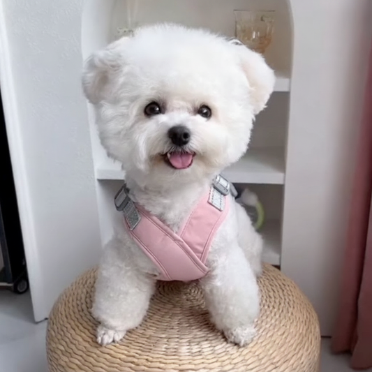 Soft No-Pull Dog Harness - 1