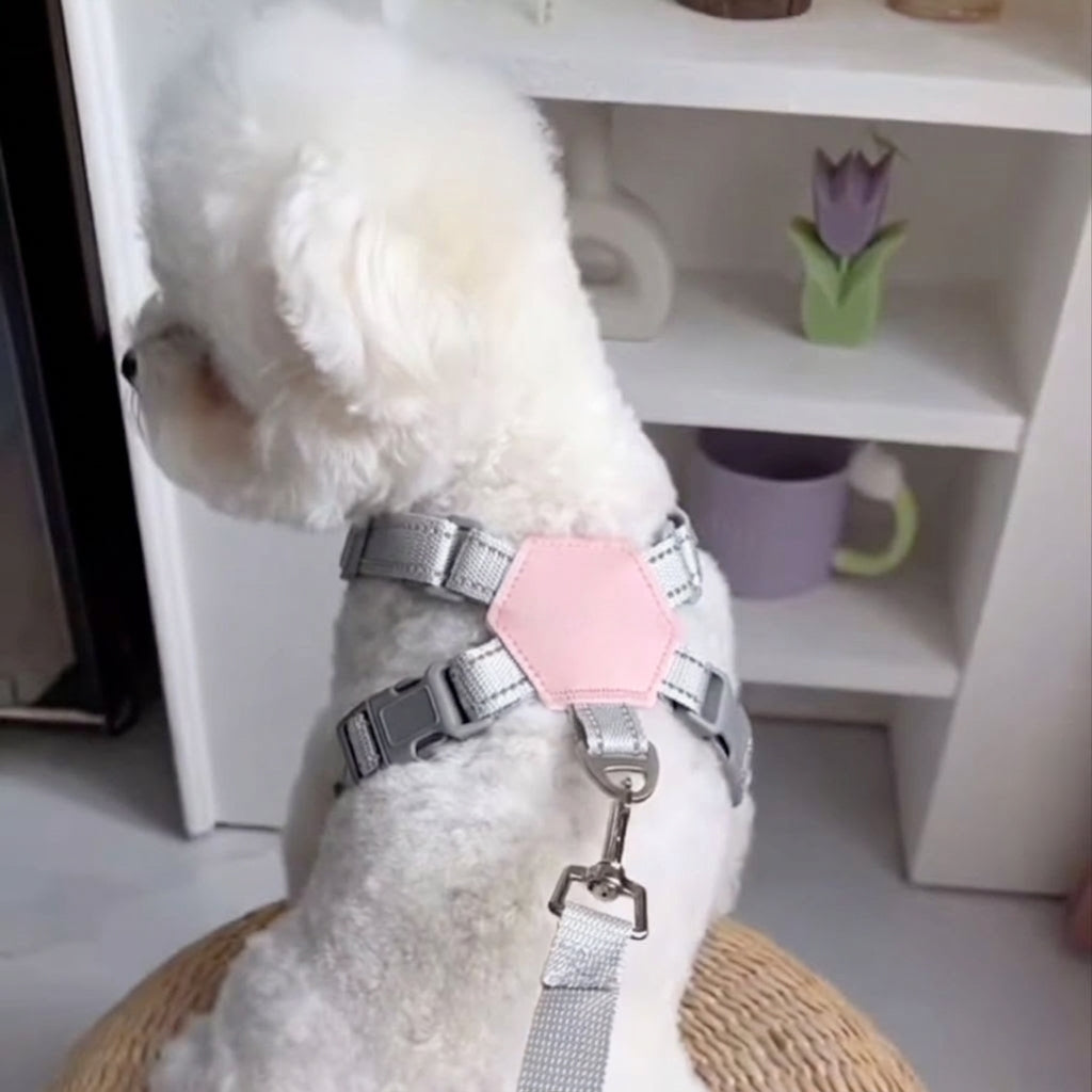 Soft No-Pull Dog Harness - 2