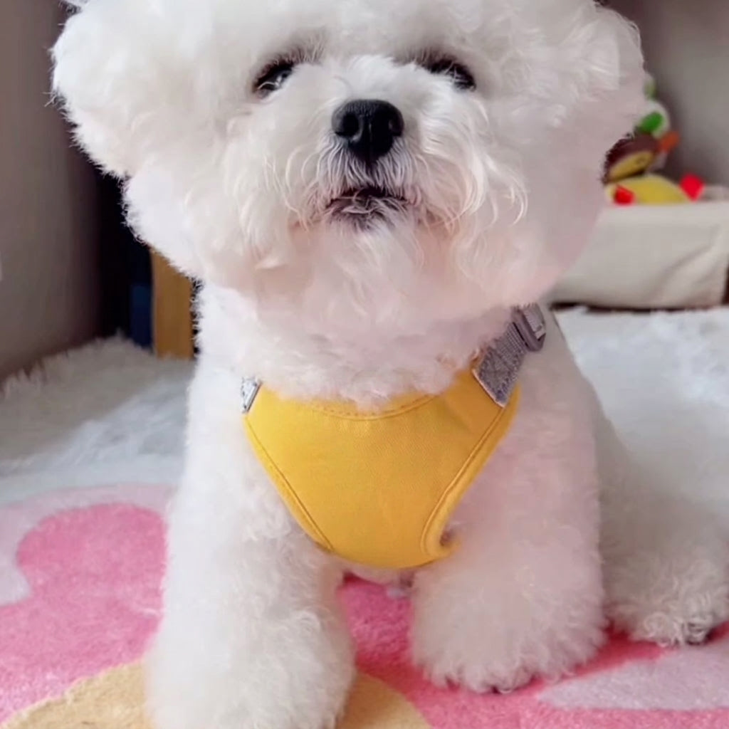 Soft No-Pull Dog Harness - 3