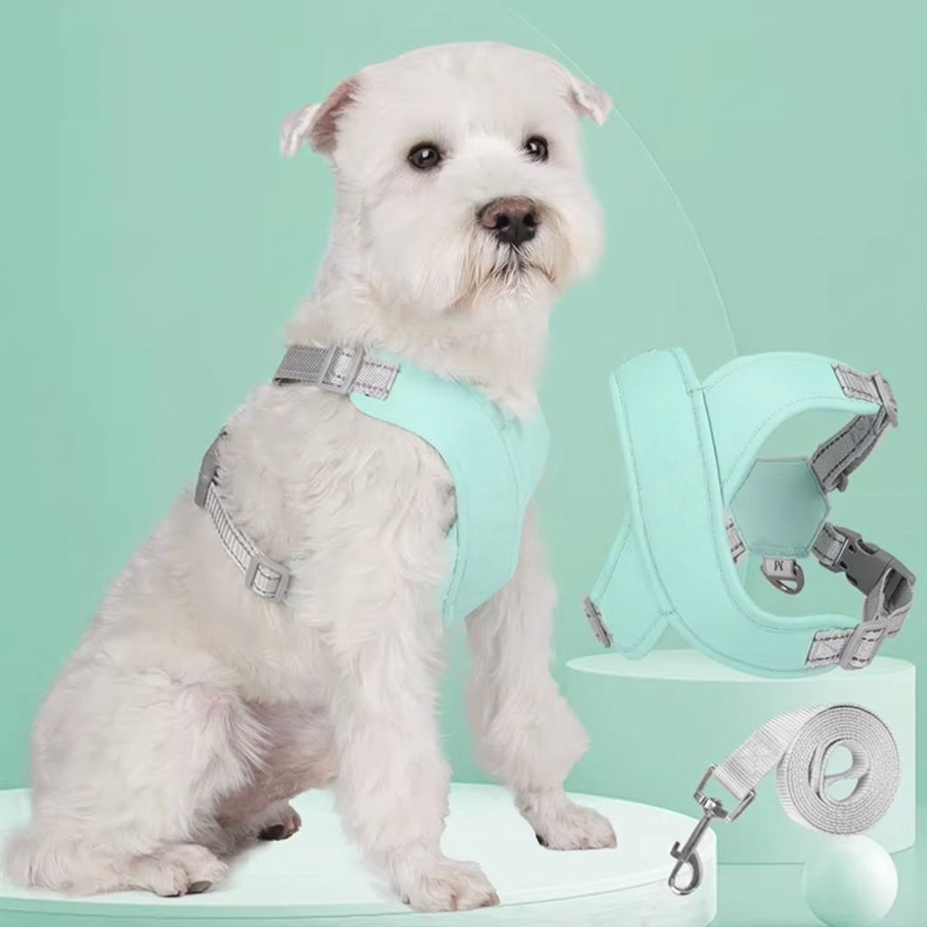Soft No-Pull Dog Harness - 9