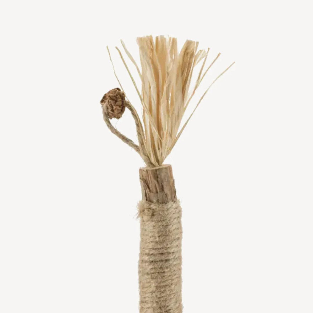 Silvervine dental sticks for cats