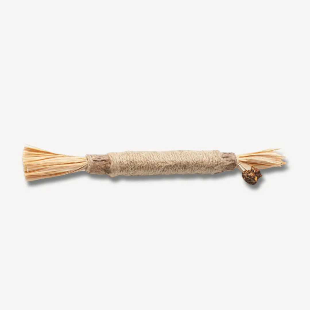 Silvervine dental sticks for cats