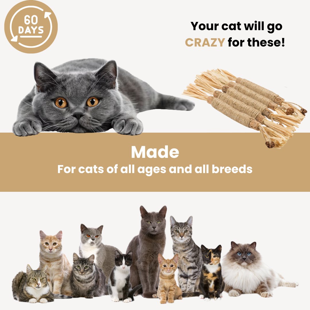 Silvervine dental sticks for cats