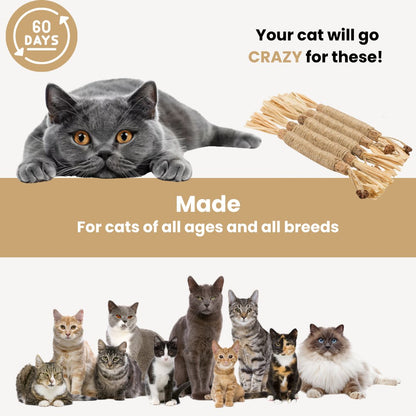 Silvervine dental sticks for cats