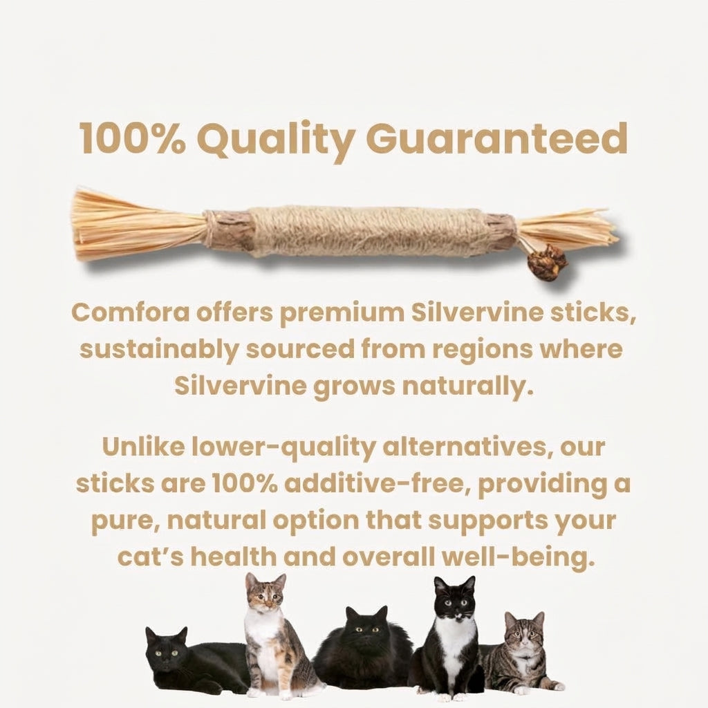 Silvervine dental sticks for cats