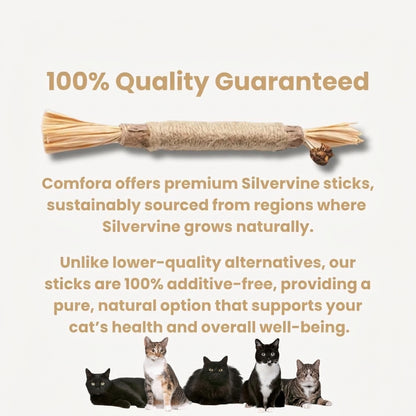 Silvervine dental sticks for cats