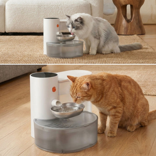 Filterless Self-Refill Cat Water Fountain
