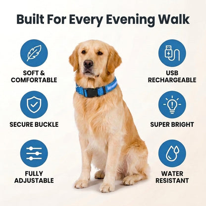 USB Rechargeable LED Dog Collar - 3