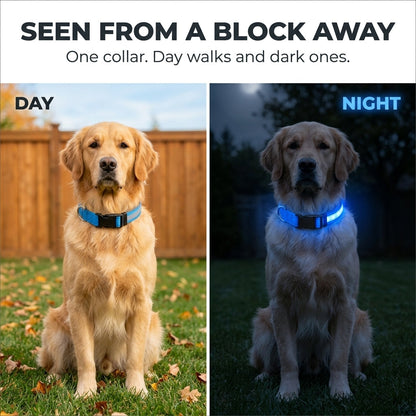 USB Rechargeable LED Dog Collar - 5