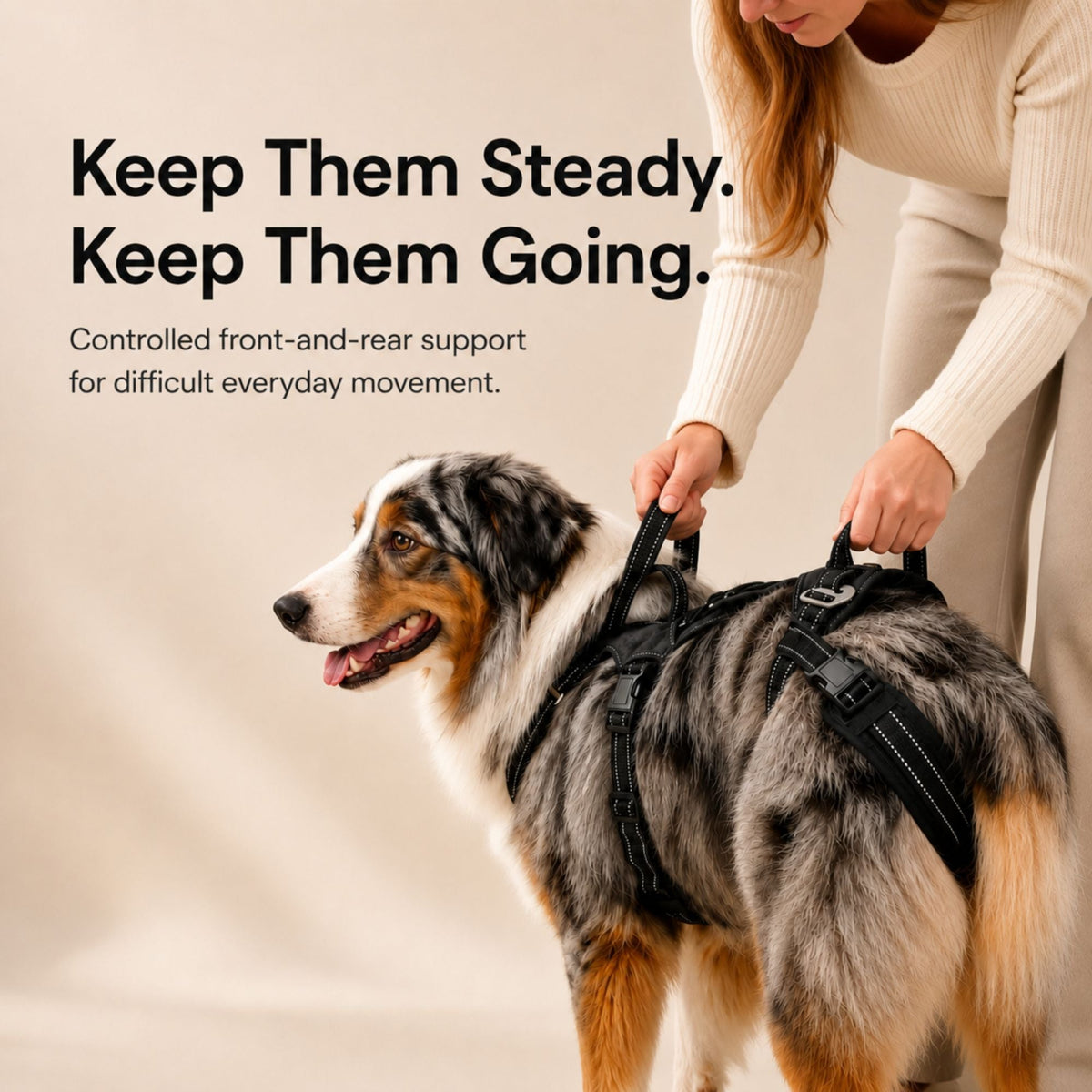 Full-body dog mobility harness