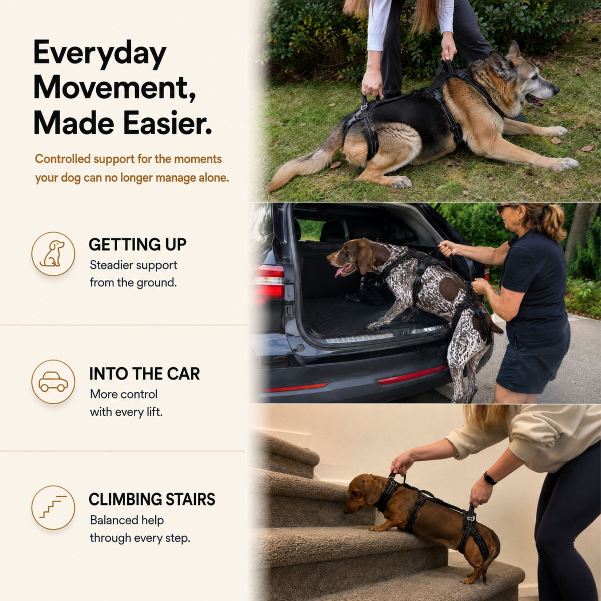 Full-body dog mobility harness