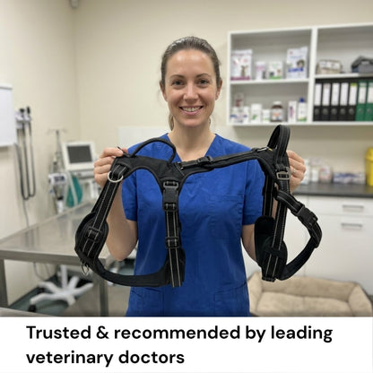 Full-body dog mobility harness