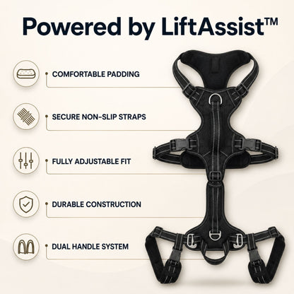 Full-body dog mobility harness