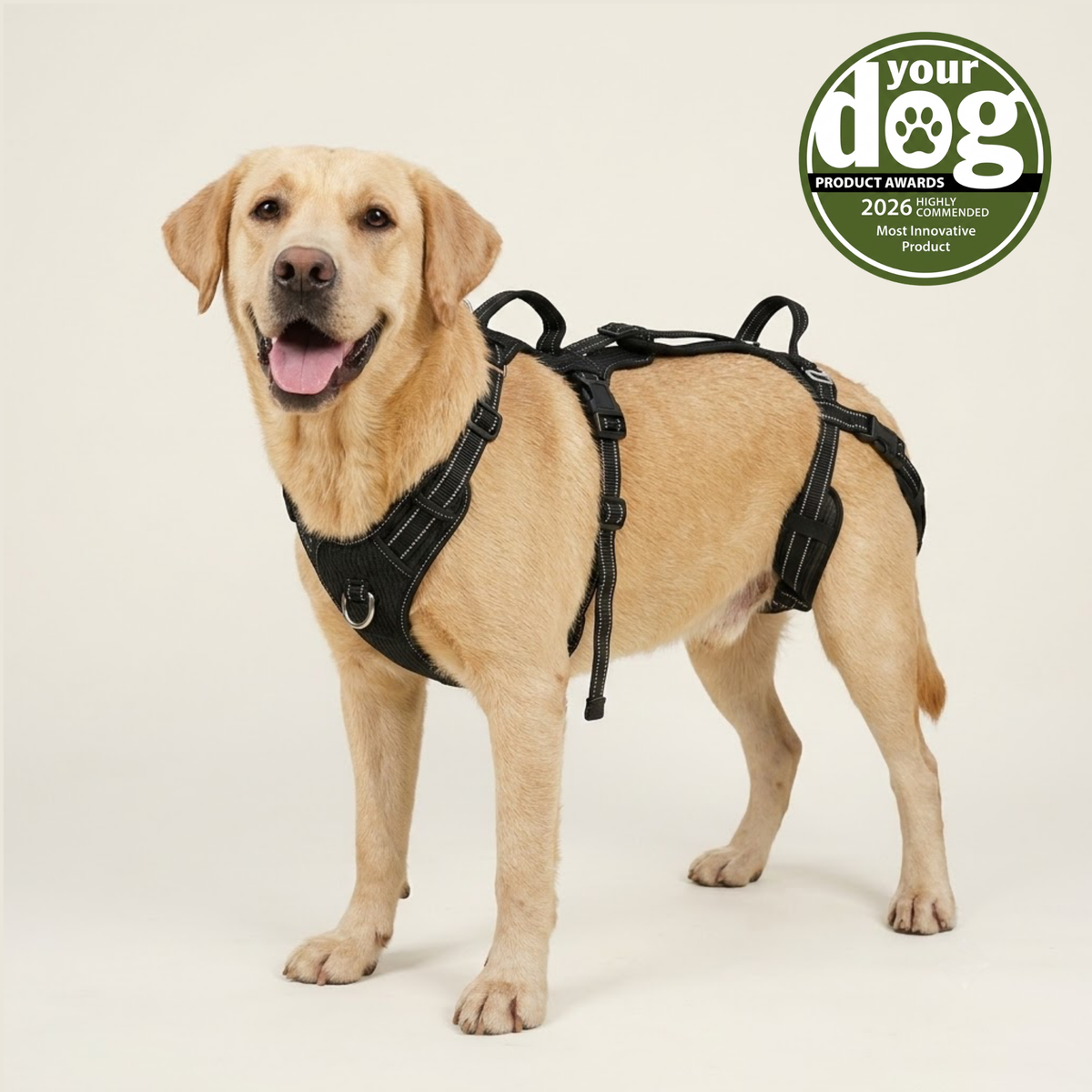 Full-body dog mobility harness