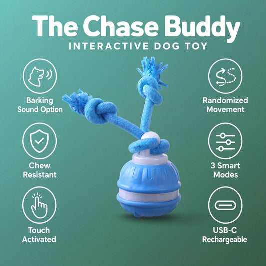 Automatic interactive dog toy - product image 1