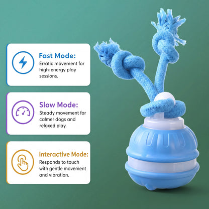 Automatic interactive dog toy - product image 3