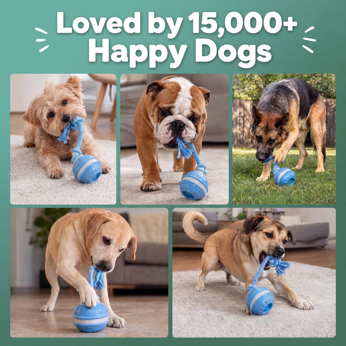 Automatic interactive dog toy - product image 4