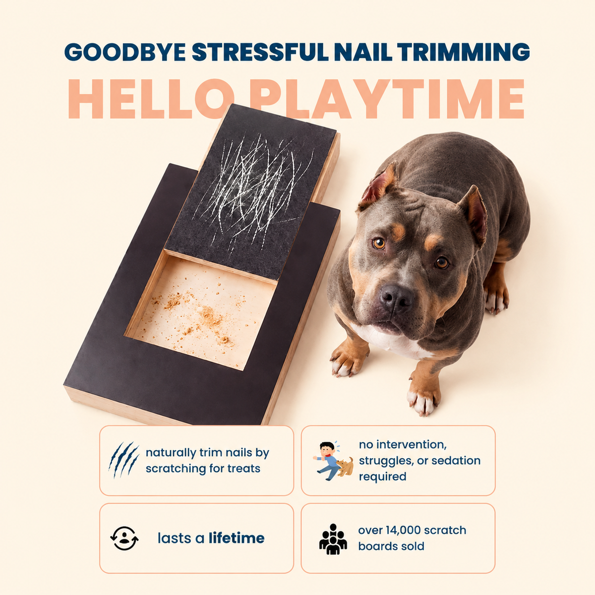 Dog Nail Scratch Board with Treat Drawer