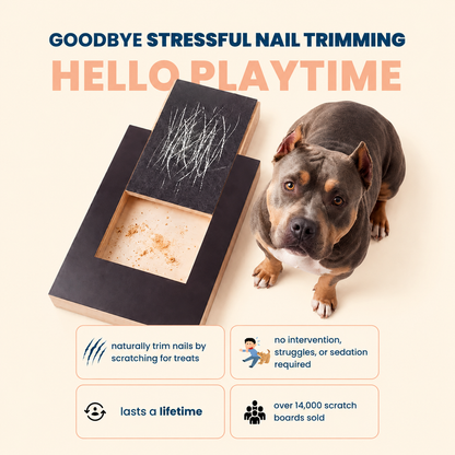 Dog Nail Scratch Board with Treat Drawer