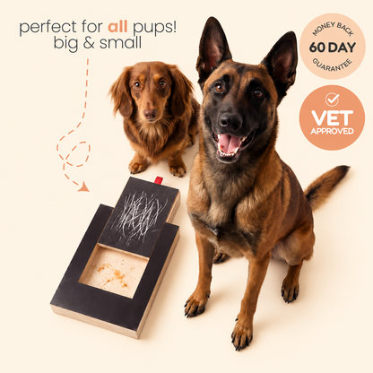 Dog Nail Scratch Board with Treat Drawer
