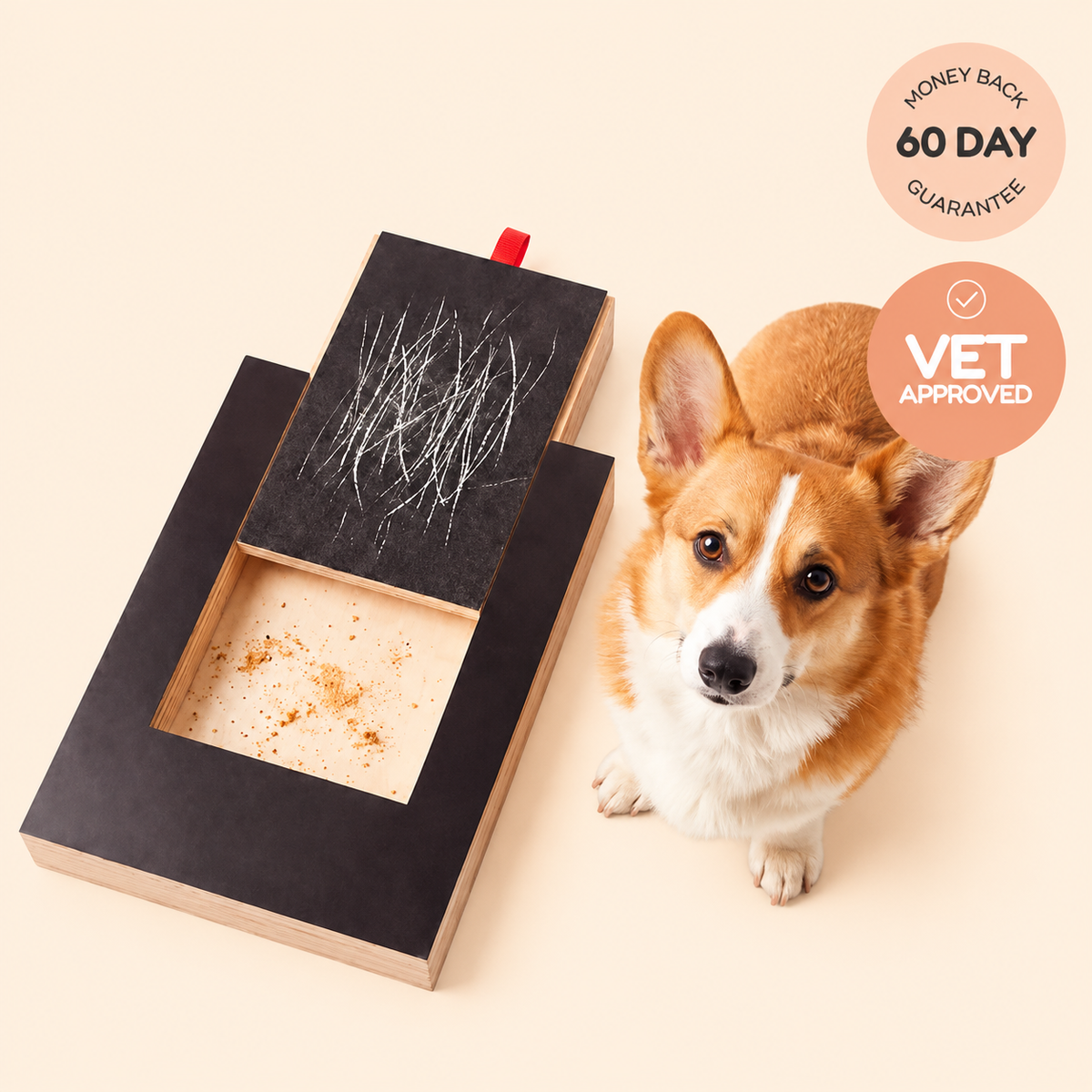 Dog Nail Scratch Board with Treat Drawer