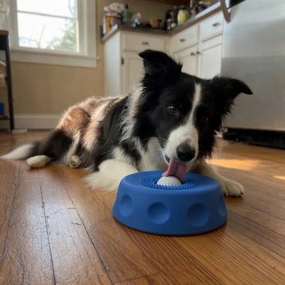 Calming Lick Bowl with Rolling Ball for Dogs