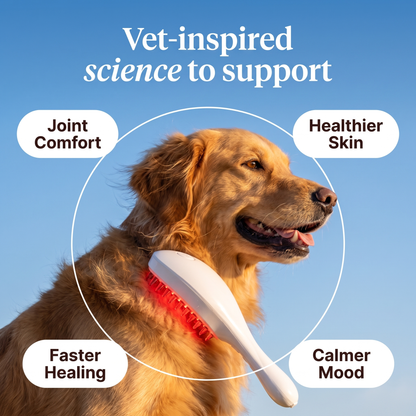 Red Light Therapy Brush for Pets