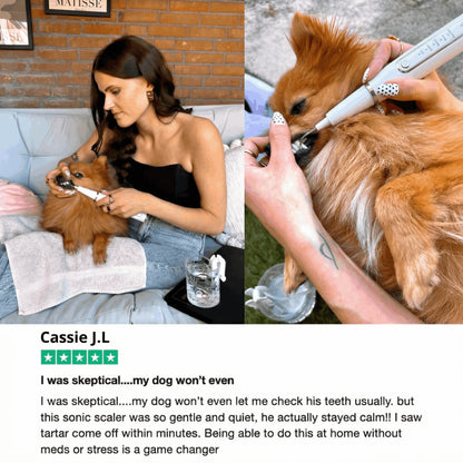 Ultrasonic plaque and tartar remover for dogs