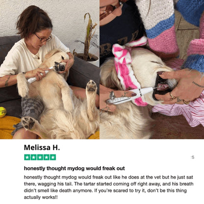 Ultrasonic plaque and tartar remover for dogs