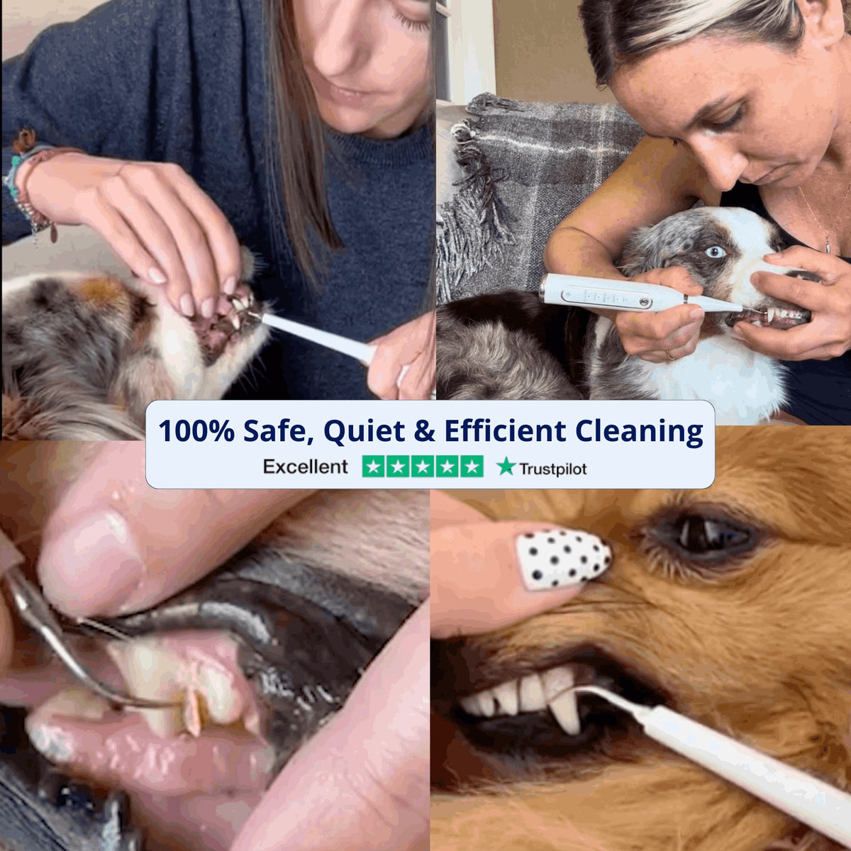 Ultrasonic plaque and tartar remover for dogs
