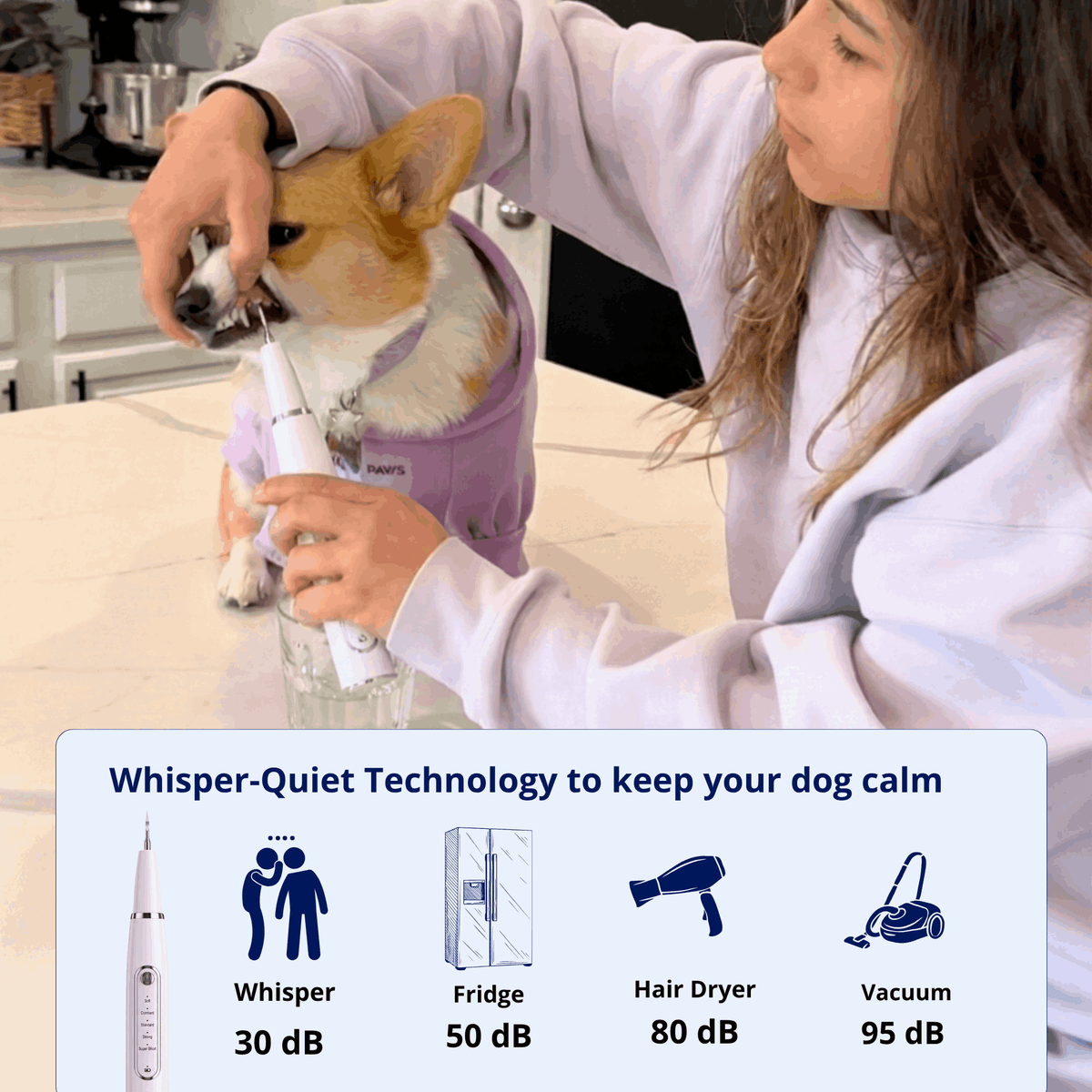 Ultrasonic plaque and tartar remover for dogs