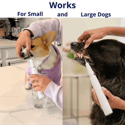 Ultrasonic plaque and tartar remover for dogs