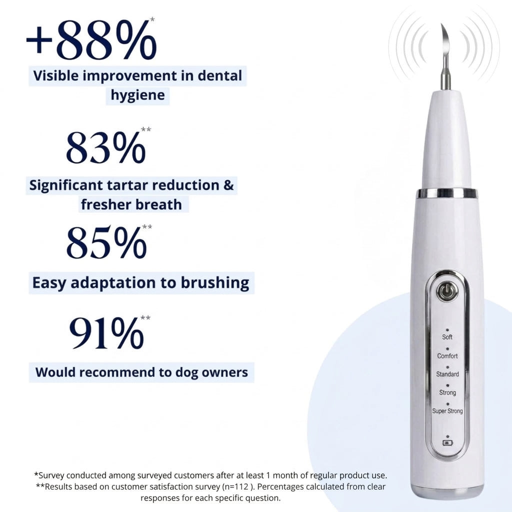 Ultrasonic plaque and tartar remover for dogs