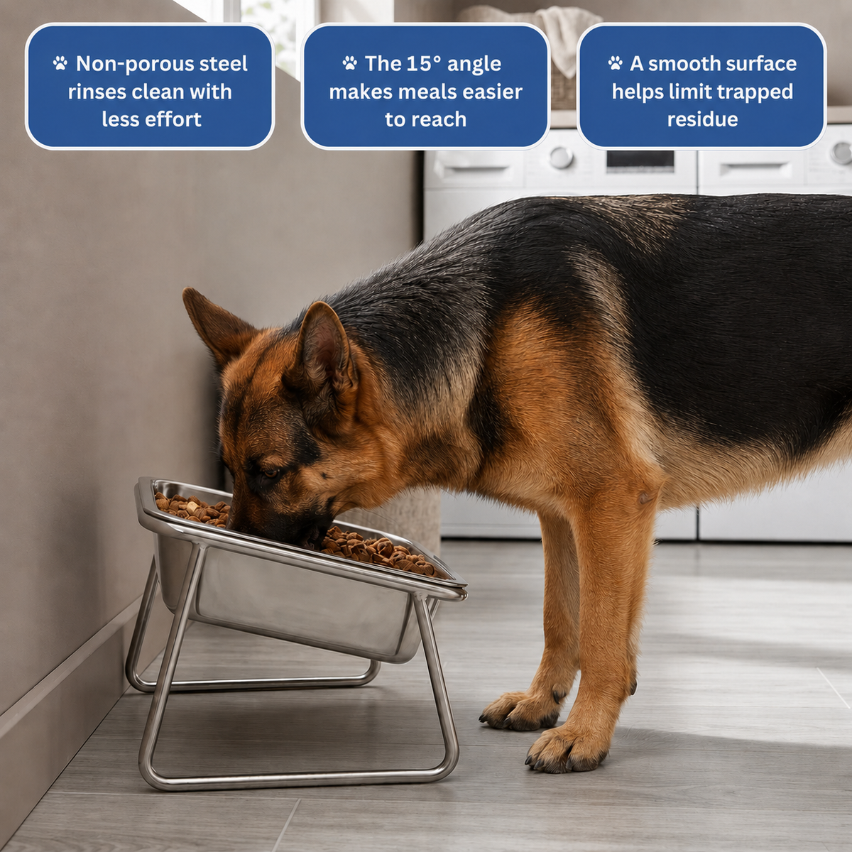 Elevated tilted dog bowl - view 6