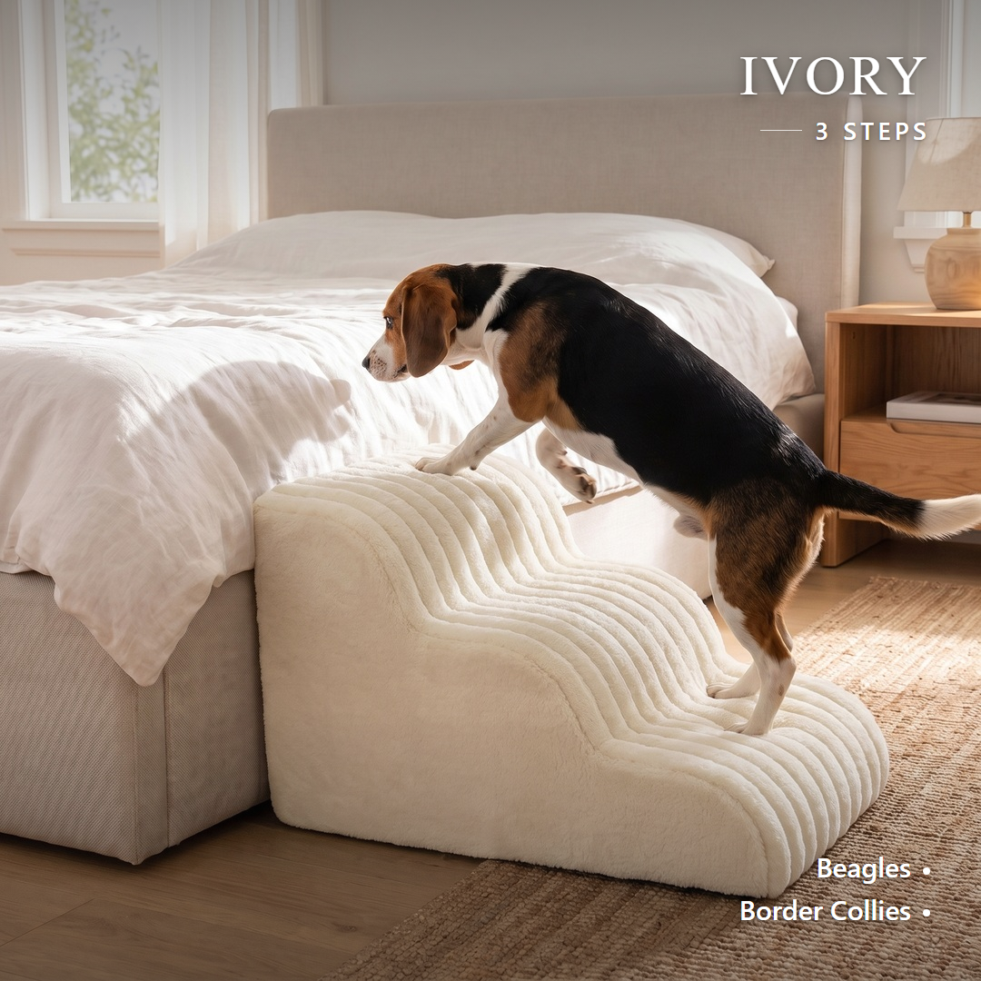 Low-rise foam dog stairs