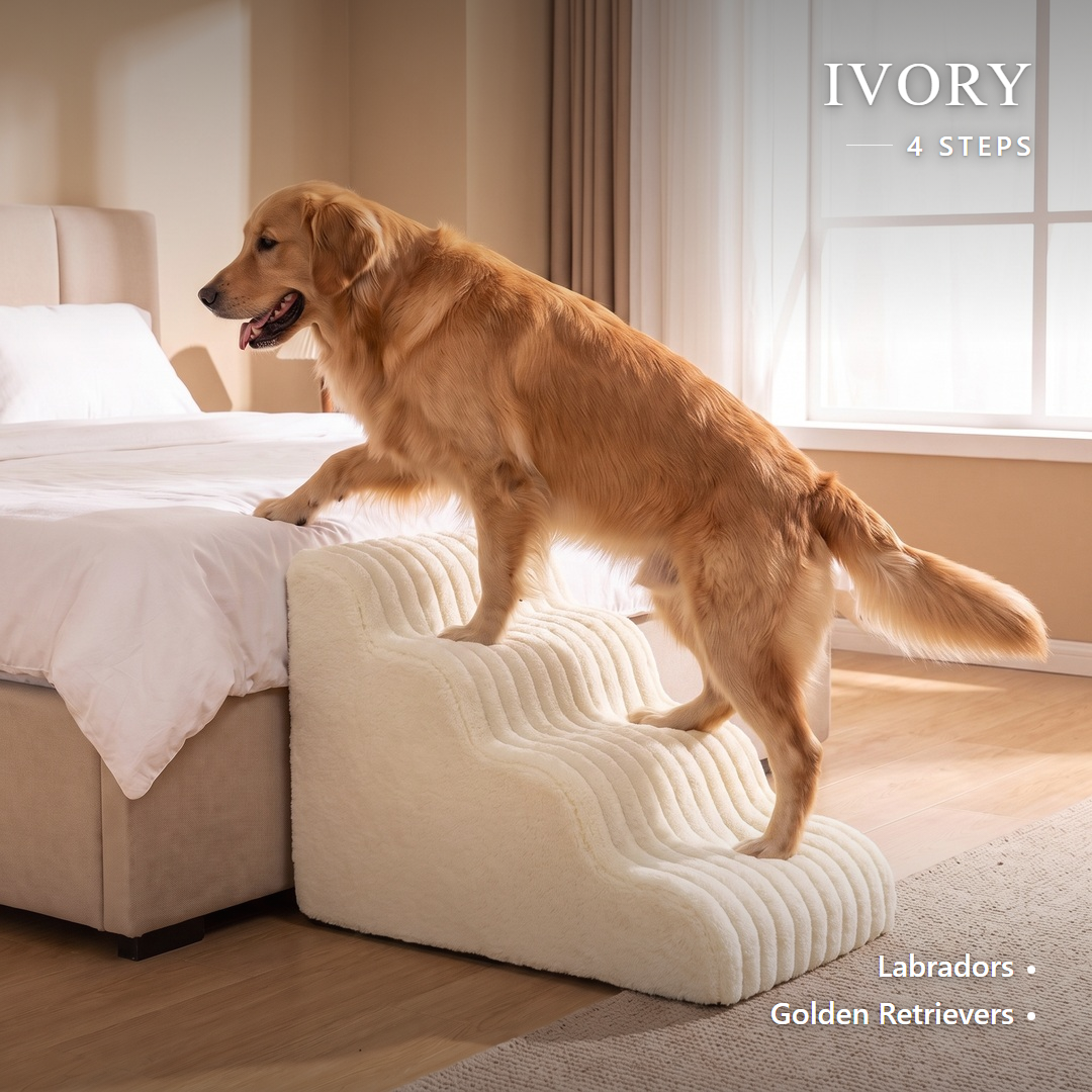 Low-rise foam dog stairs