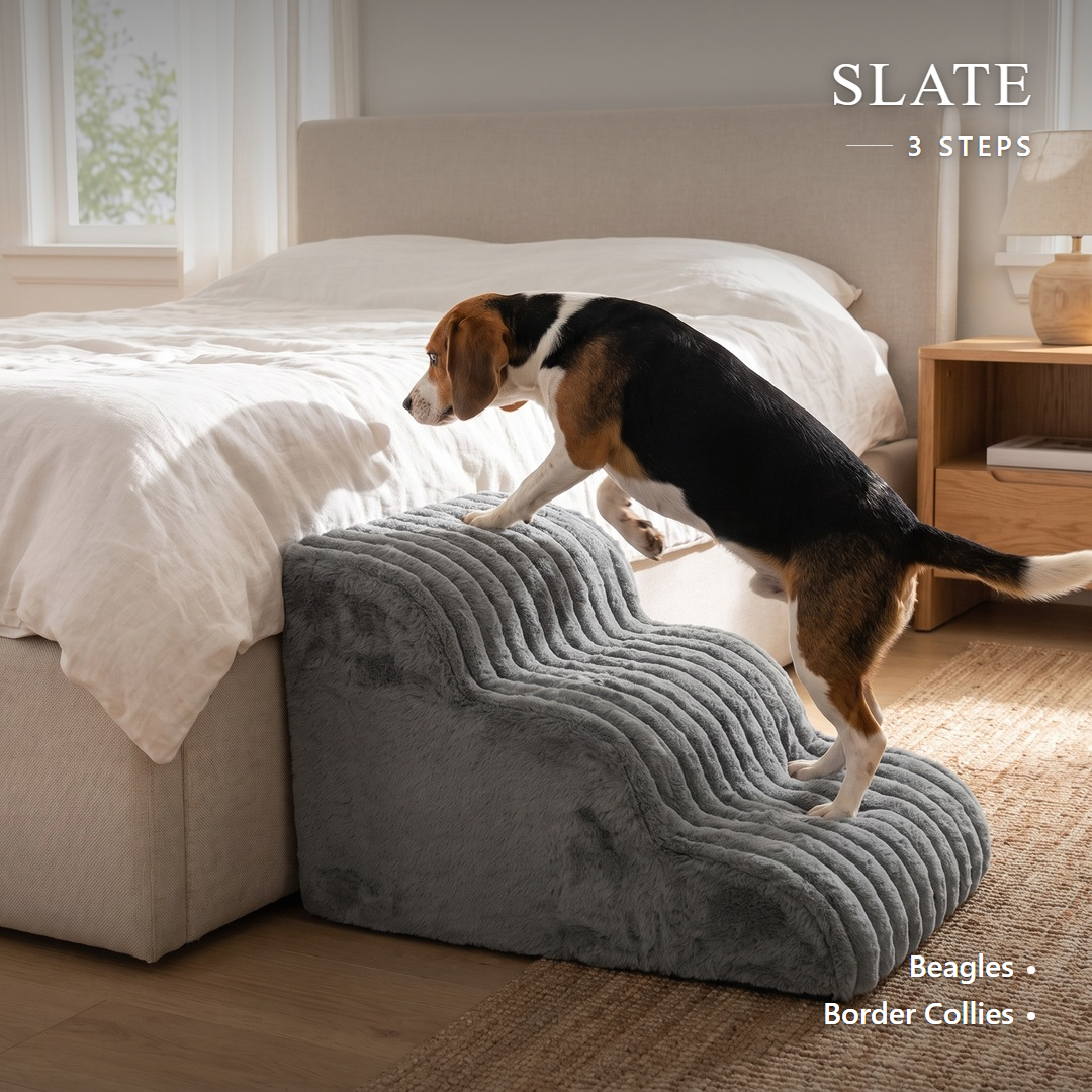 Low-rise foam dog stairs