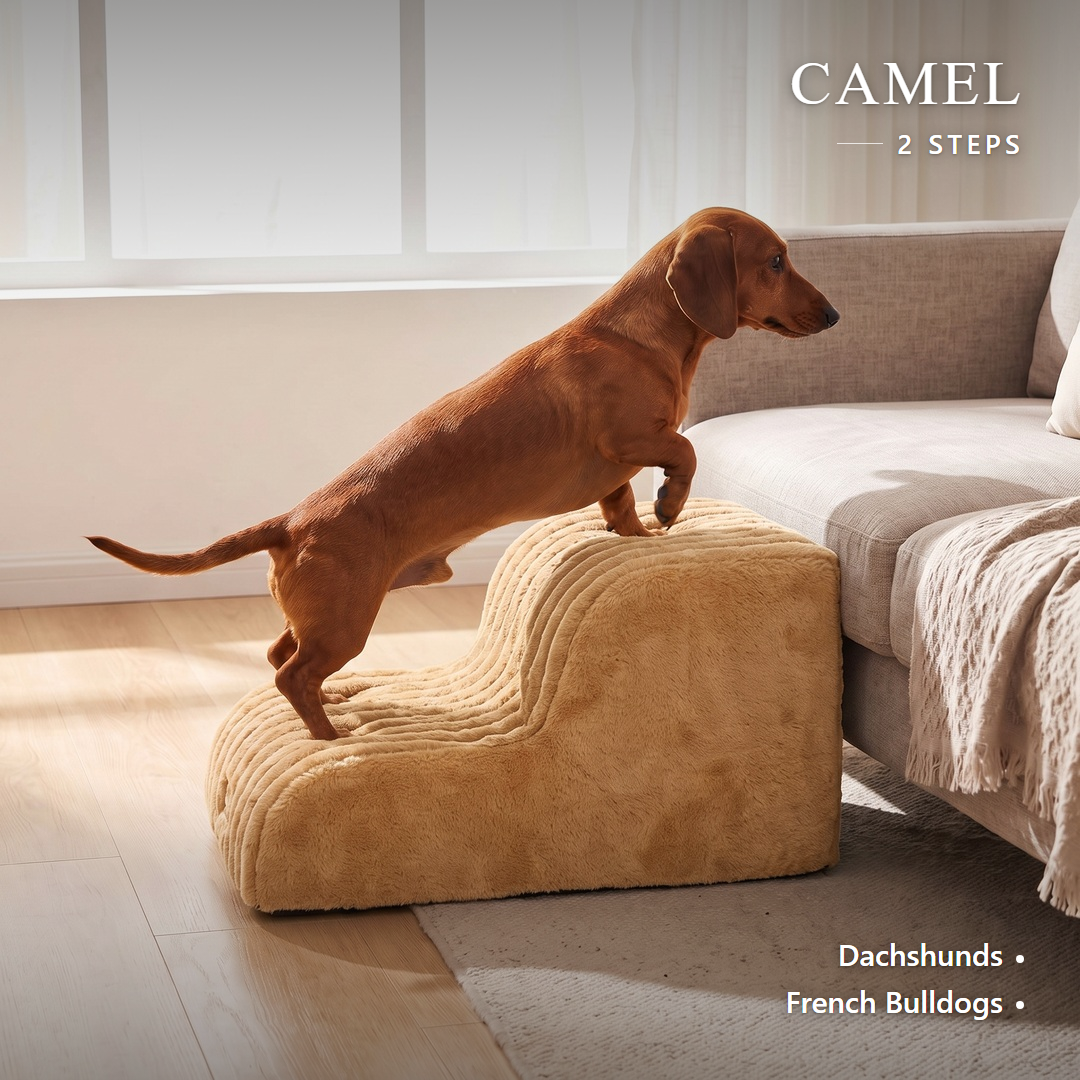 Low-rise foam dog stairs