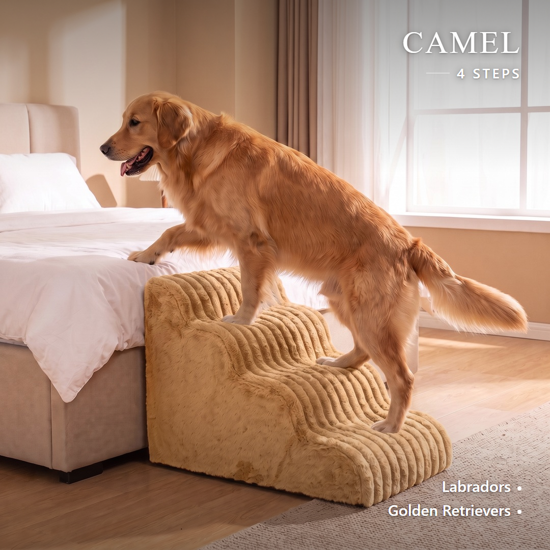 Low-rise foam dog stairs