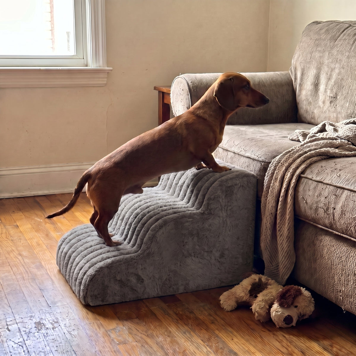 Low-rise foam dog stairs