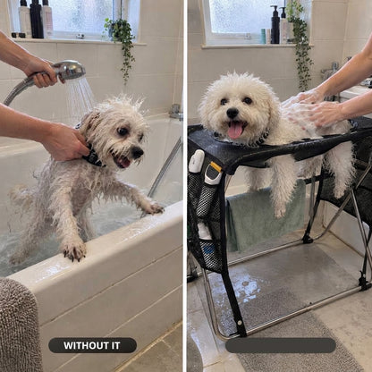 Dog bath and grooming table