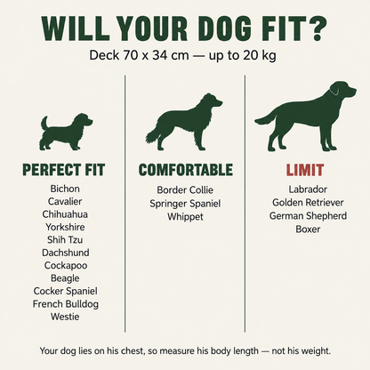 Dog bath and grooming table
