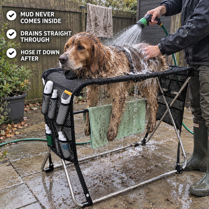 Dog bath and grooming table