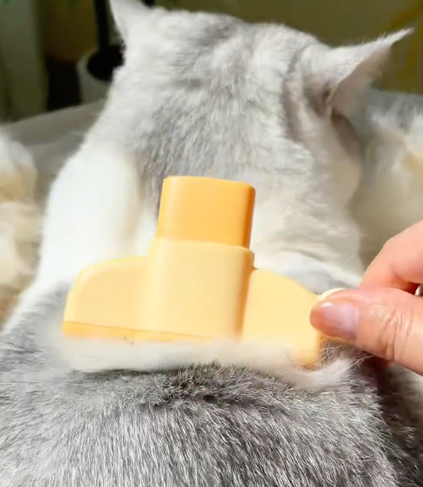 Self-Cleaning Grooming Brush for Cats and Dogs