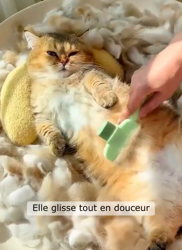 Self-Cleaning Grooming Brush for Cats and Dogs