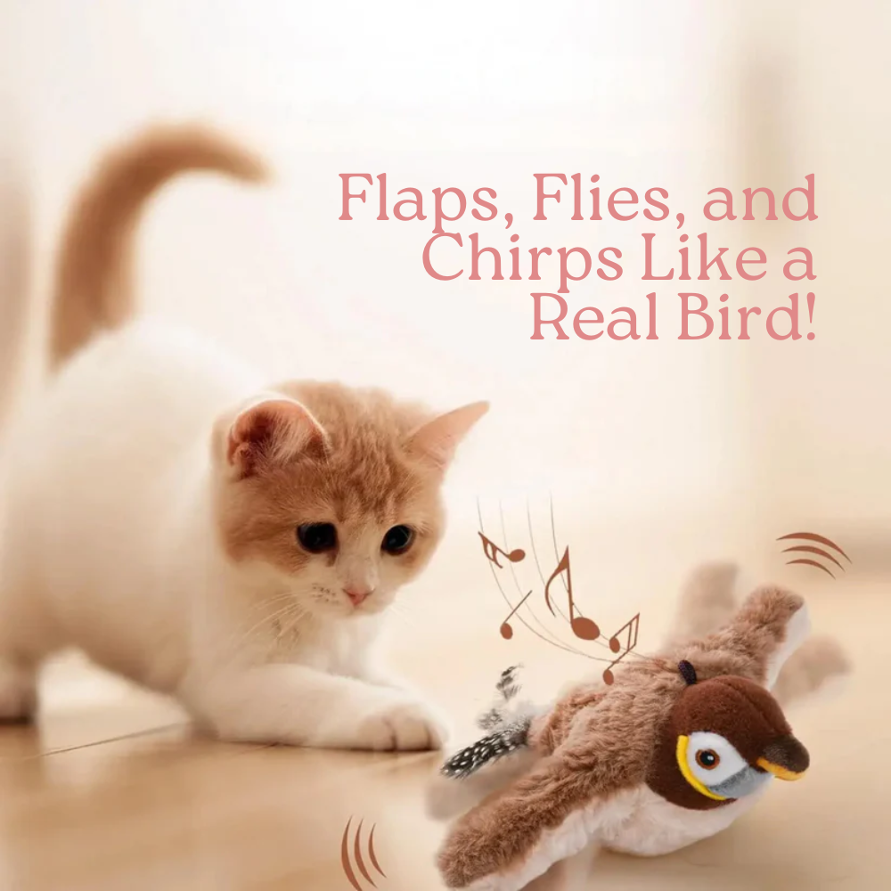 Automatic Flapping Bird Toy for Cats - Cat Playing