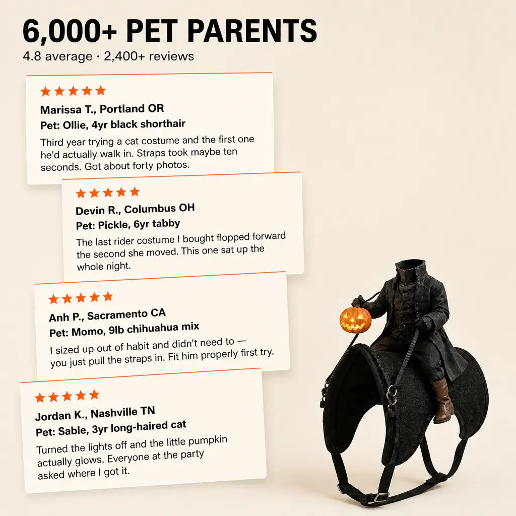 Headless Horseman Pet Halloween Costume